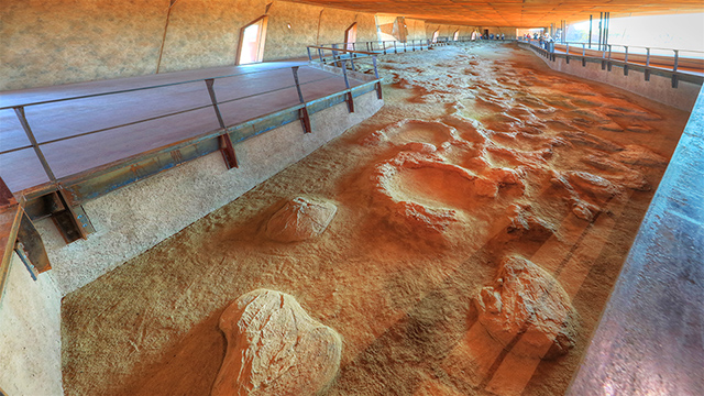 Dinosaur Trackways
