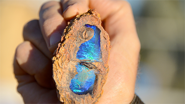 Opal Fossicking